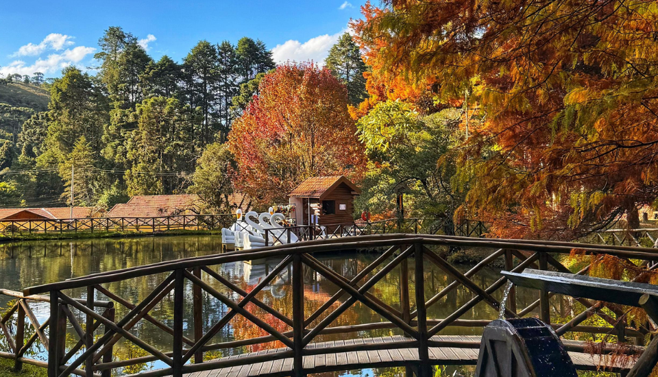 Parque do Horto Florestal em Campos do Jordão, com trilhas, áreas verdes e ambiente tranquilo